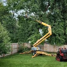 Best Hedge Trimming  in Brent, AL