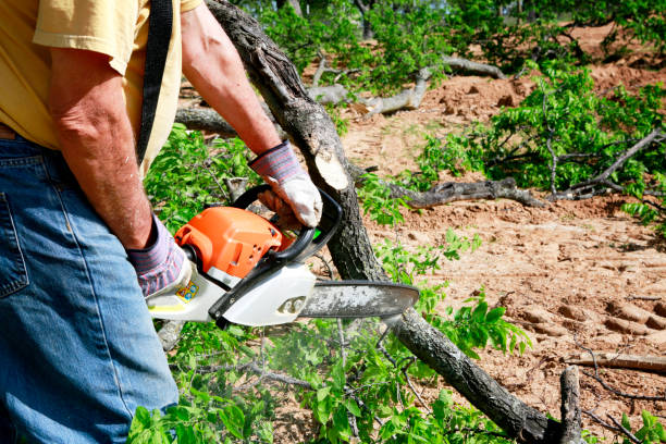 Best Commercial Tree Services  in Brent, AL